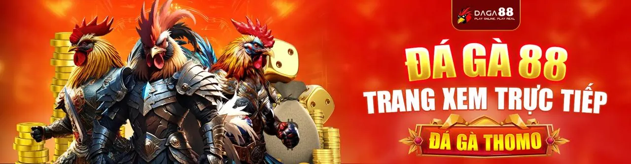 Đấu trường đá gà trực tuyến sôi động tại qq88000